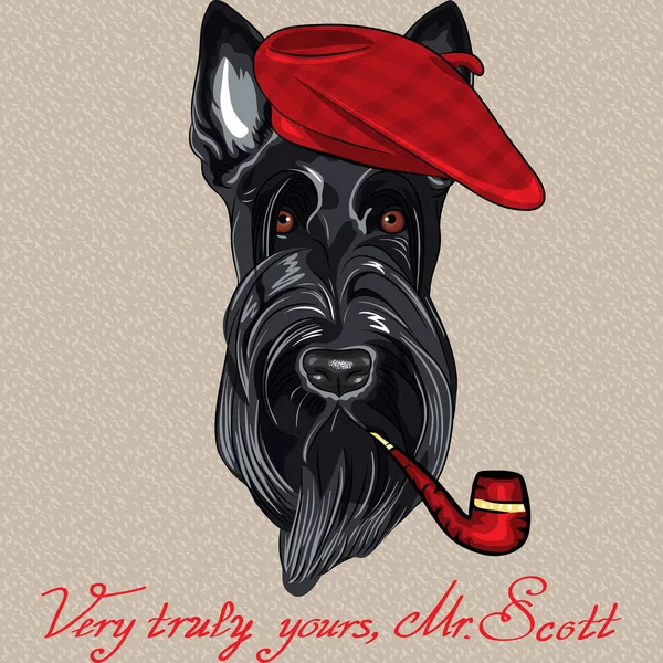 Vettore divertente fumetto hipster cane Scottish Terrier — Vettoriale Stock