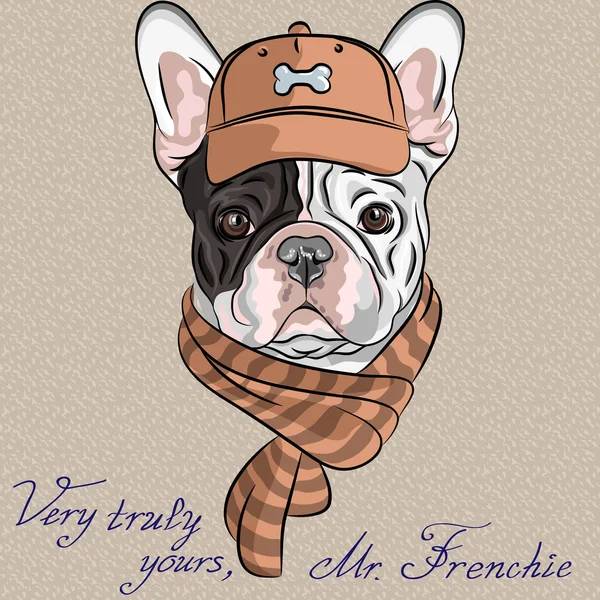 Vector, grappige cartoon hipster, hondenras Franse bulldog — Stockvector