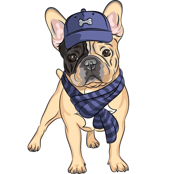 Vektor lustig Cartoon Hipster Hund Französisch Bulldogge Rasse — Stockvektor