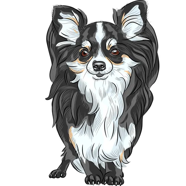 Вектор ескіз собаку породи Чихуахуа посміхається — стоковий вектор