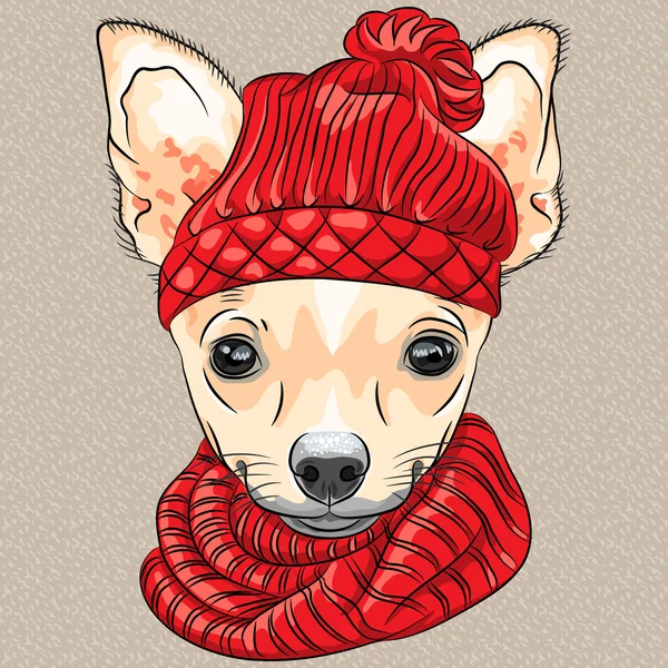 Vetor desenho animado cão hipster raça Chihuahua sorrindo — Vetor de Stock