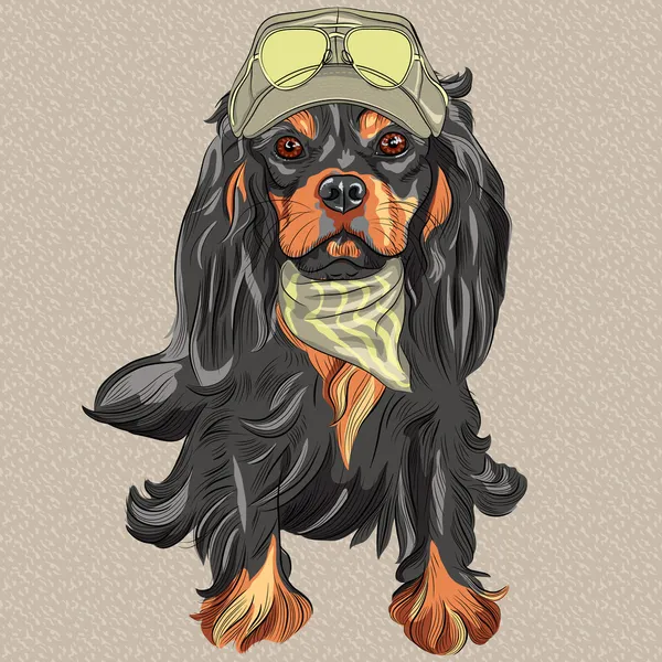 Vetor Cão hipster bonito Cavalier Rei Charles Spaniel raça — Vetor de Stock