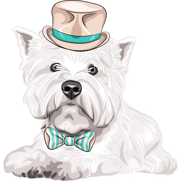 Vector dog West Highland White Terrier breed in hat and bow tie — Stock Vector