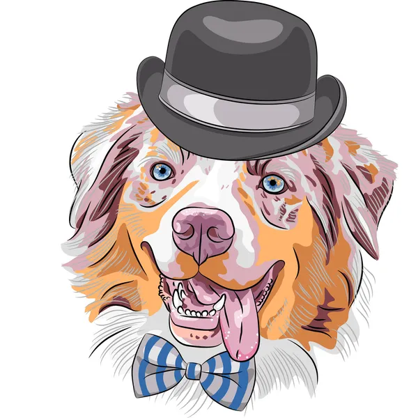 Вектор hipster-мультфільм собака Австралійська вівчарка — стоковий вектор