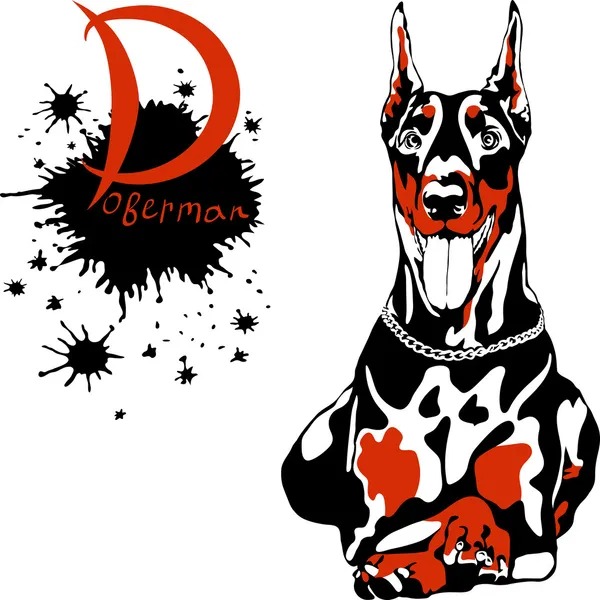 Vector perro Doberman Pinscher raza — Vector de stock