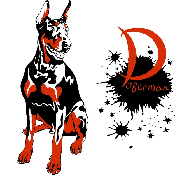 벡터 개 doberman pinscher 품종 — 스톡 벡터