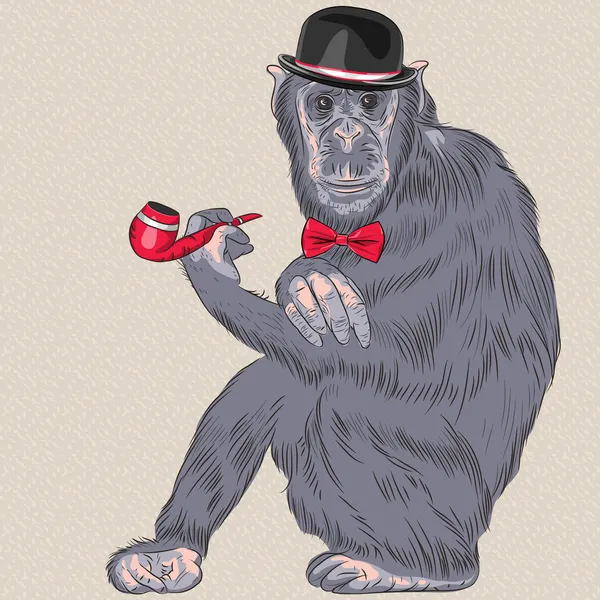 Vector engraçado desenho animado hipster macaco —  Vetores de Stock