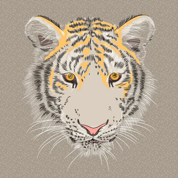 Vector closeup portrait of a serious tiger — Stock Vector