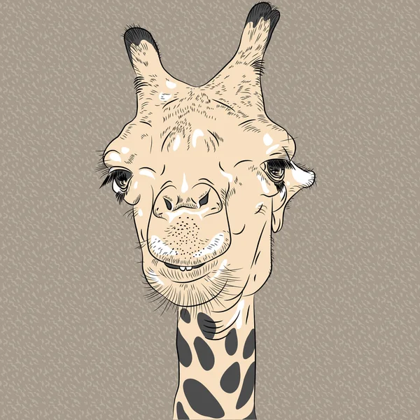 Portrait vectoriel rapproché de drôles de chameaux — Image vectorielle