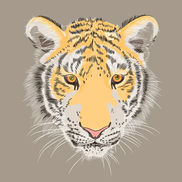 Vector primer plano retrato de un tigre grave — Vector de stock