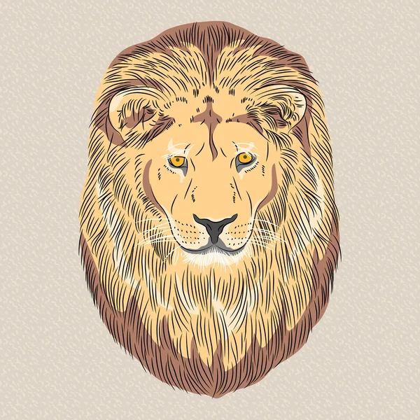 Vector closeup portrait of a serious lion — Stock Vector