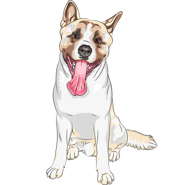 Vector sketch dog Akita breed smiles — Stock Vector