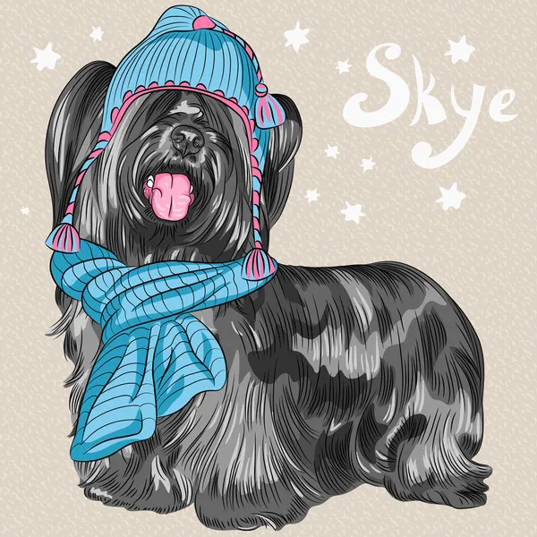 Vetor desenho animado hipster cão Skye Terrier raça sorrindo —  Vetores de Stock