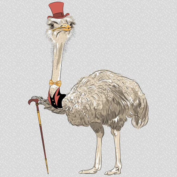 Vector funny Ostrich Bird hipster — Stock Vector