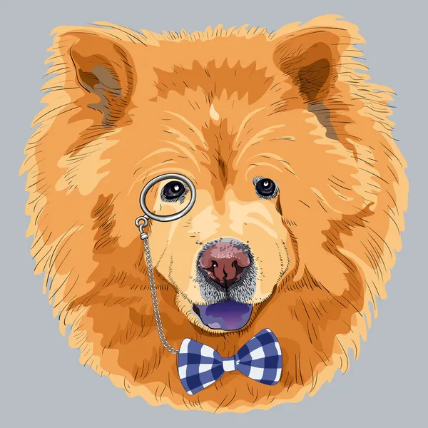 Vector funny cartoon hipster chow-chow dog — Stock Vector