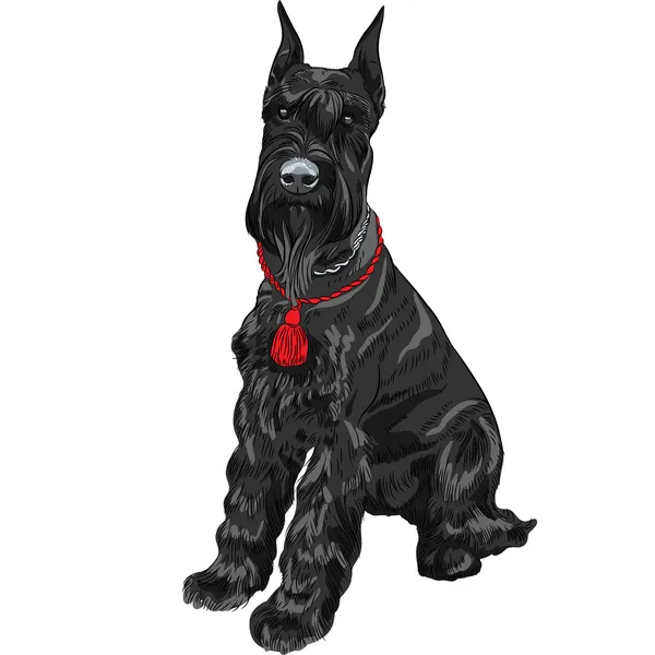 Vector black Giant Schnauzer dog sitting — Stock Vector