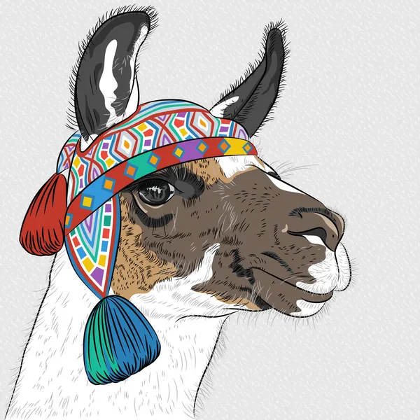 Boceto vectorial de Alpaca — Vector de stock