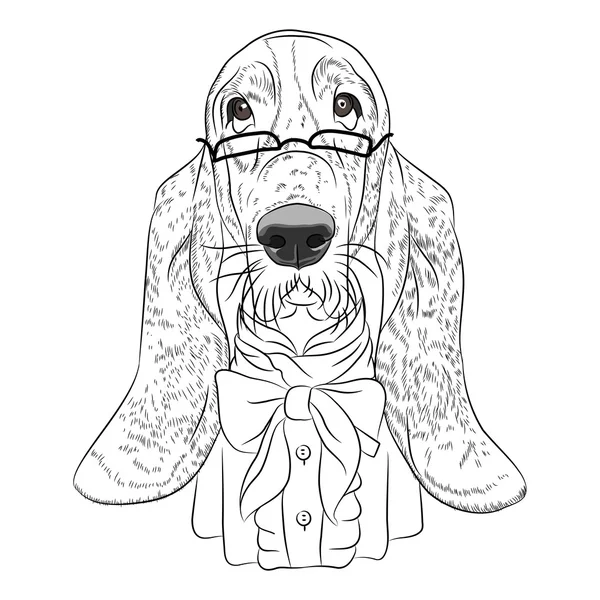 Vector funny cartoon hipster dog Basset Hound — стоковый вектор