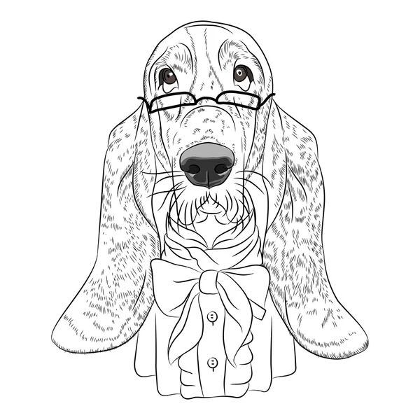 Vetor engraçado desenho animado hipster cão Basset Hound —  Vetores de Stock