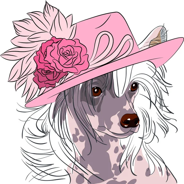 Vector grappige cartoon hipster chinese crested hondenras — Stockvector