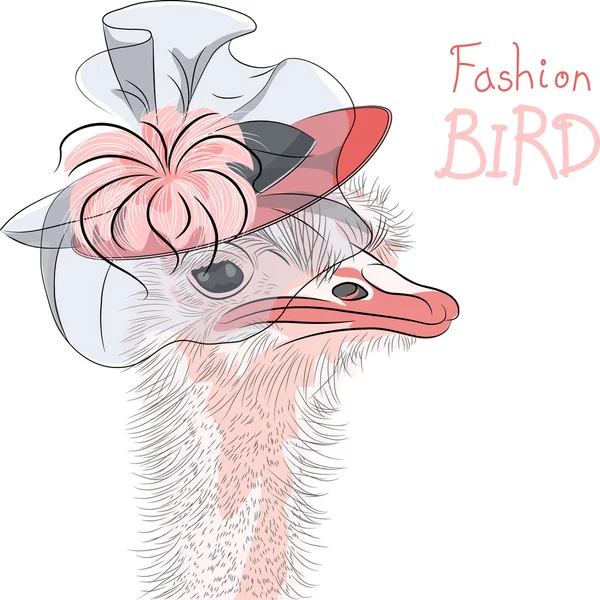Vector funny fashion Ostrich Bird in a beautiful hat — Stock Vector