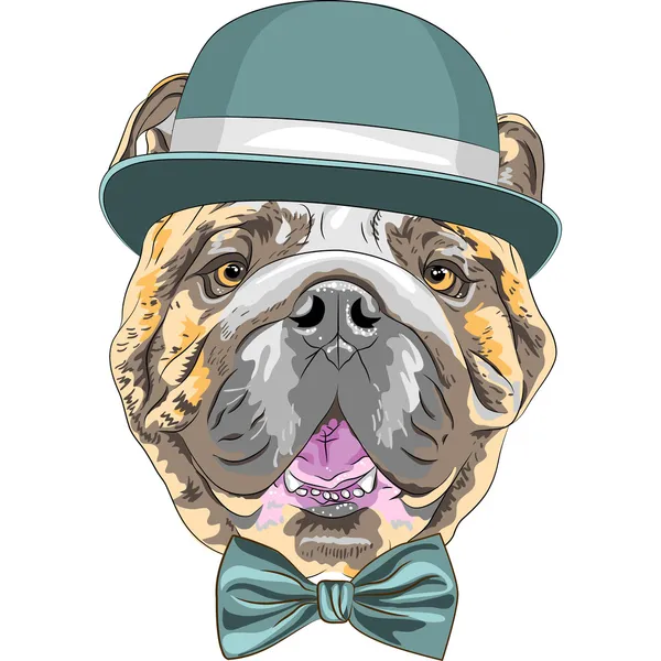 Vector funny cartoon hipster dog English Bulldog breed — Stock Vector