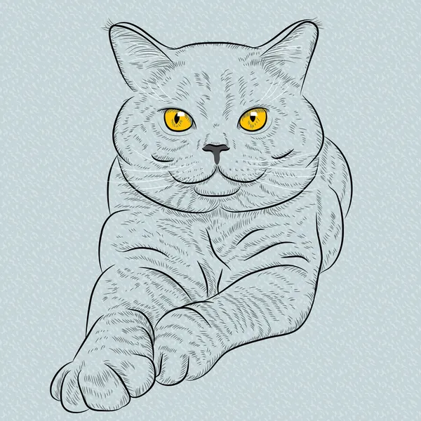 Vector británico taquigrafía azul gato miente y mira — Archivo Imágenes Vectoriales