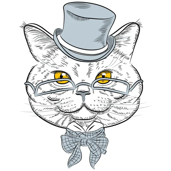 Vector closeup portrait of the British cat hipster — Stock Vector