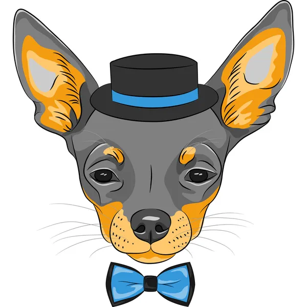 Vektor Cartoon Hipster Hund Chihuahua Rasse — Stockvektor