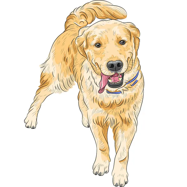 Croquis vectoriel chien heureux race Labrador Retriever sourire — Image vectorielle