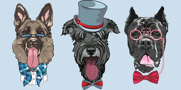 Vecteur drôle dessin animé hipster chien berger allemand — Image vectorielle