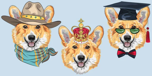 Set cão Pembroke corgi galês — Vetor de Stock