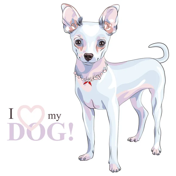 Vektorový pes Chihuahua plemeno s úsměvem — Stockový vektor