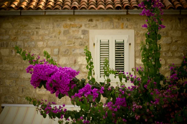 Stone House with flowers — Stock Photo, Image