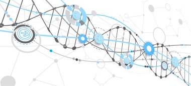 Bilim şablonu, duvar kağıdı ya da DNA moleküllü pankart. Vektör illüstrasyonu