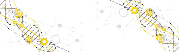 Science template, wallpaper or banner with a DNA molecules. Vector illustration