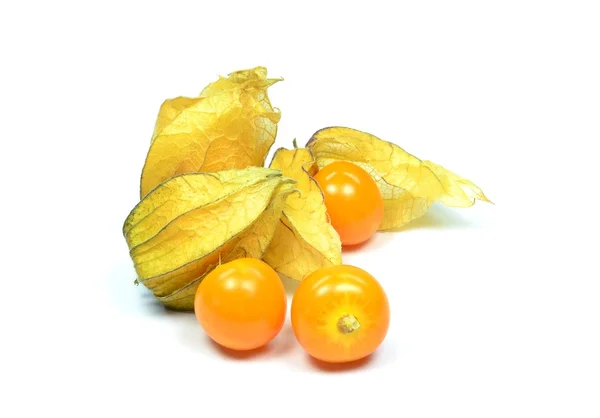 Physalis vruchten — Stockfoto