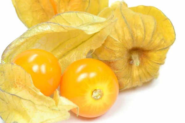 Physalis fruits — Photo