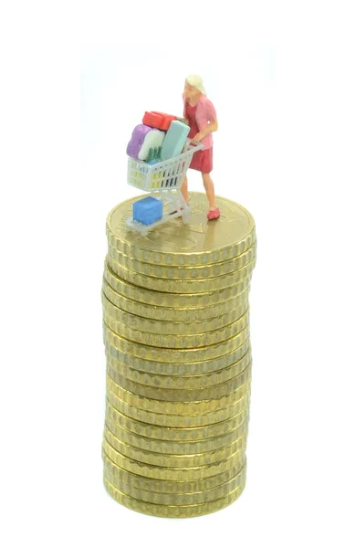 Lady shopping on money — Stock Photo, Image