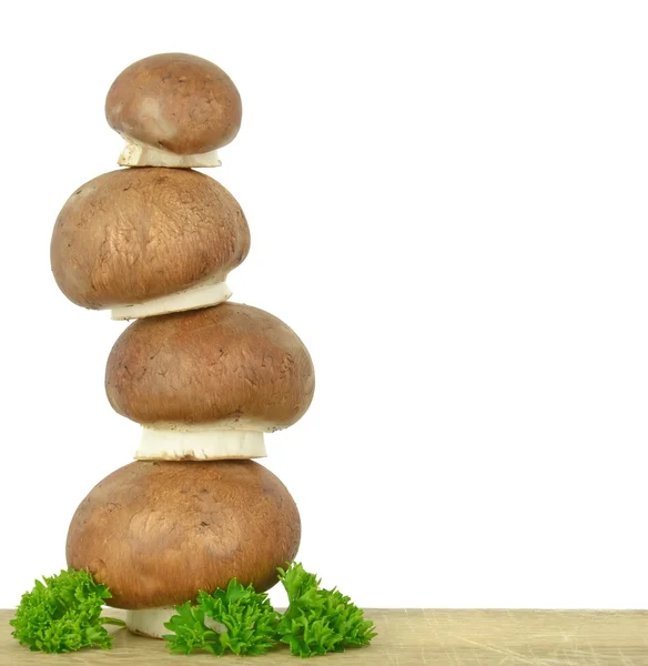 Una torre di funghi marroni — Foto Stock