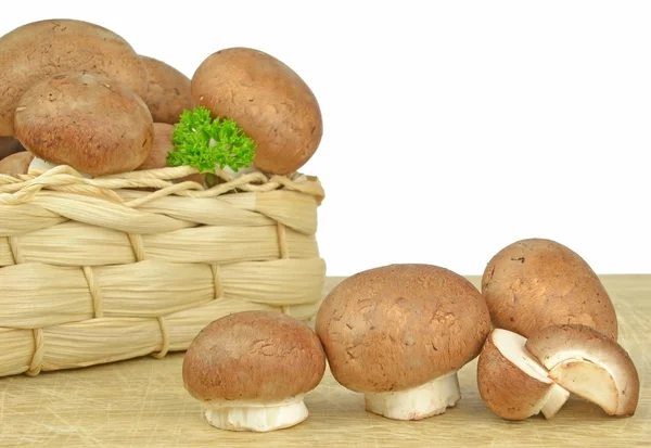 Auswahl an braunen Pilzen — Stockfoto