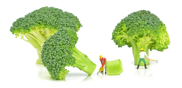 Broccoli being cut — Stock Photo, Image