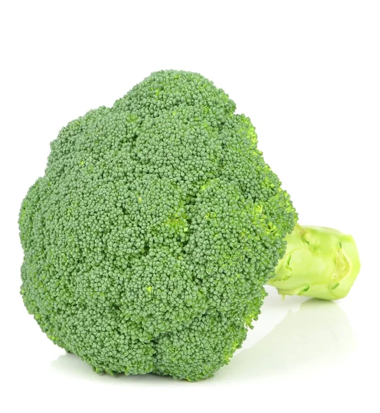 En bit av färsk broccoli — Stockfoto