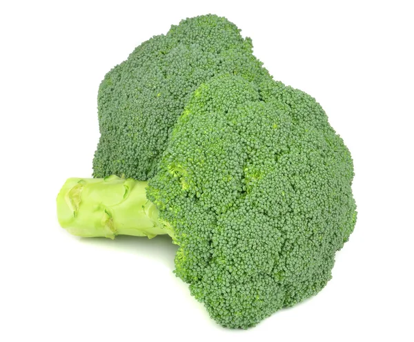 Deux morceaux de brocoli frais — Photo
