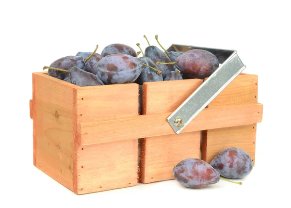 Verse pruimen in een houten kist — Stockfoto