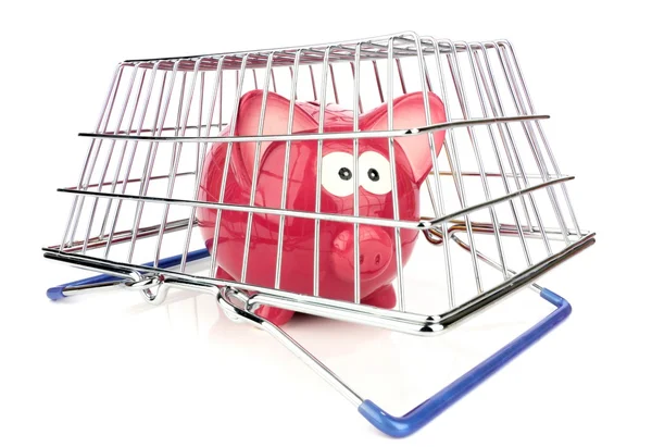 Piggy Bank and Shopping Basket — Stock Photo, Image