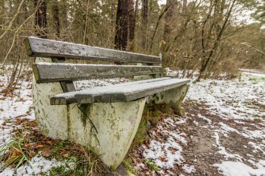 ormanda bir park bankında