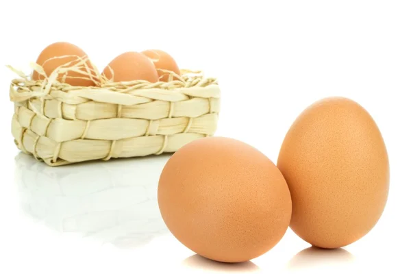 Fresh eggs in a basket — Stock Photo, Image