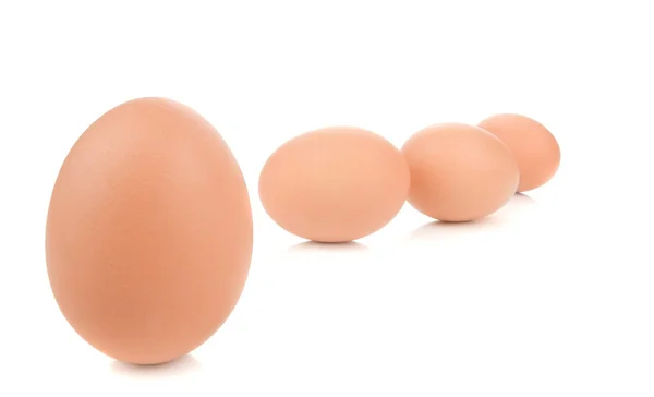 Uma fila de ovos castanhos frescos — Fotografia de Stock