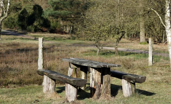 德国一个乡村自然公园的一张乡村野餐桌和一张用原木做的长椅 — 图库照片